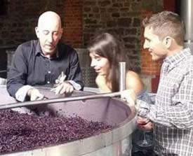 Looking at fermentation in a Vat